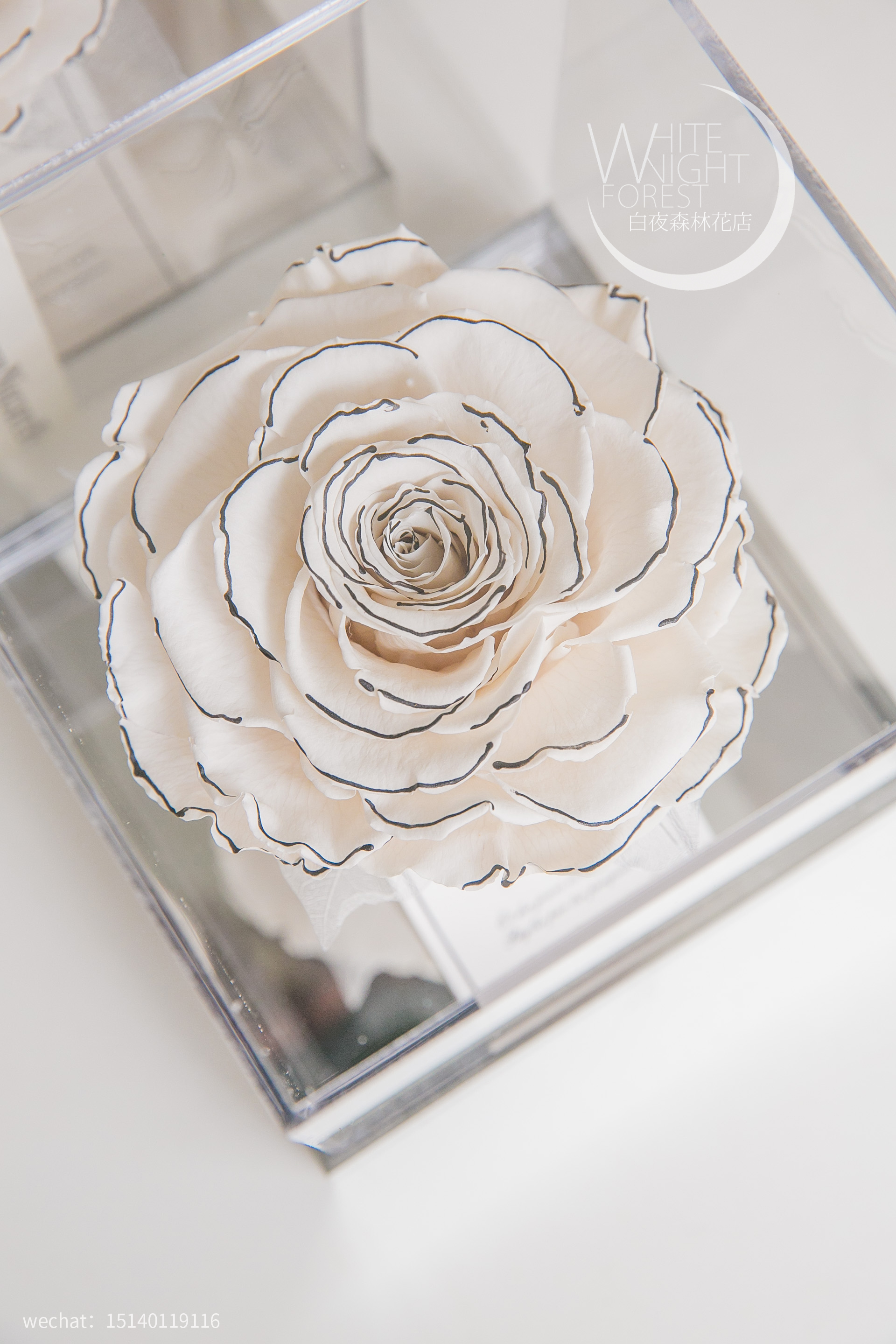香奈儿风白色巨型永生玫瑰礼盒
