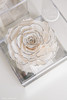香奈儿风白色巨型永生玫瑰礼盒 商品缩略图0