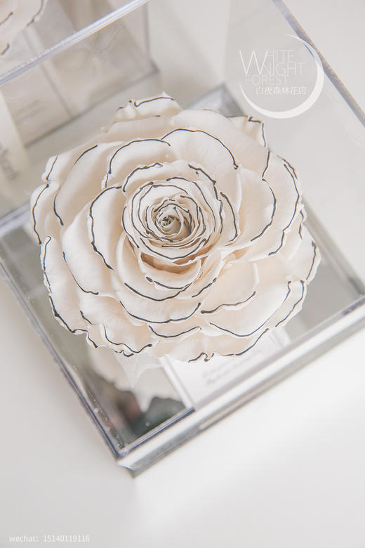 香奈儿风白色巨型永生玫瑰礼盒 商品图0