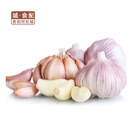 【GYZYDR】紫皮鲜蒜1斤 商品图1