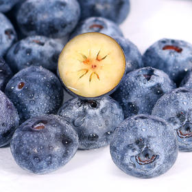 佳沃云南山地蓝莓20mm+超大果盒礼盒装 当季限定顺丰包邮