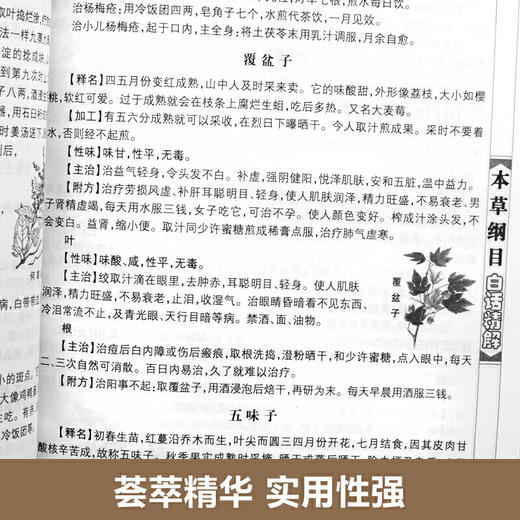 【心如健推荐】本草纲目白话精解 商品图4