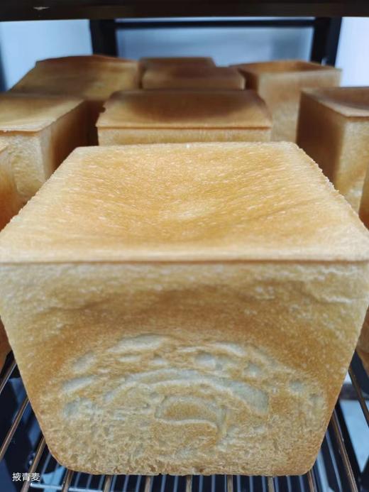 【面包房直送】生态原料手工素面包（掖青麦） 商品图6