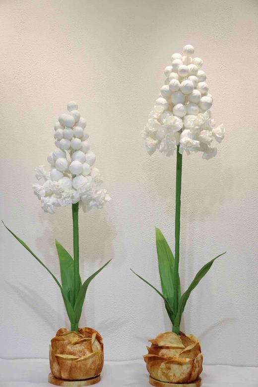 特价风信子（运费自理） 商品图3