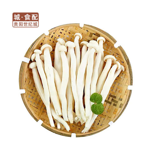 【GYZYDR】海鲜菇250g/袋 商品图0