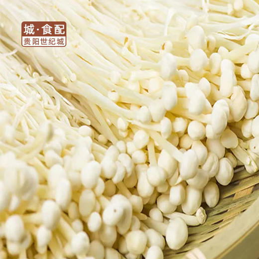 【GYZYDR】金针菇250g/袋 商品图0