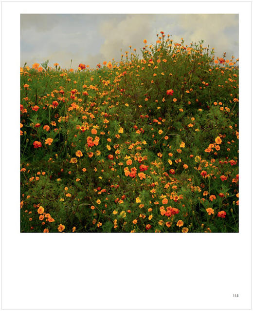 【现货】Saskia Boelsums：Pictorial Landscape Photography | 画意风景摄影 商品图1