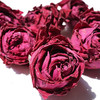 『大理墨红玫瑰花茶』朵型饱满，茶汤清澈，富含花青素 商品缩略图1