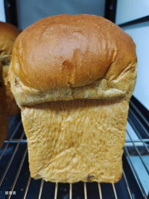 【面包房直送】生态原料手工素面包（掖青麦） 商品图4