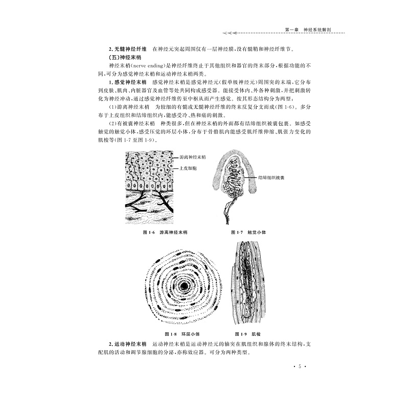 试读PDF-9787308180467(1-1)-神经系统疾病病人护理_011.jpg