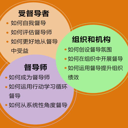 助人专业督导 团体督导团体心理咨询理论心理助人心理学书籍心理咨询督导指南学校督导机构督导 商品图2