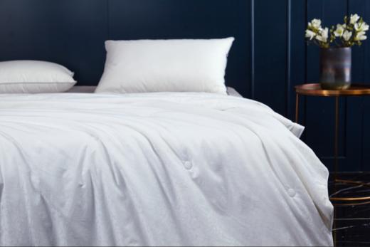 梦洁60S全棉纤维蚕丝复合四季被 商品图2