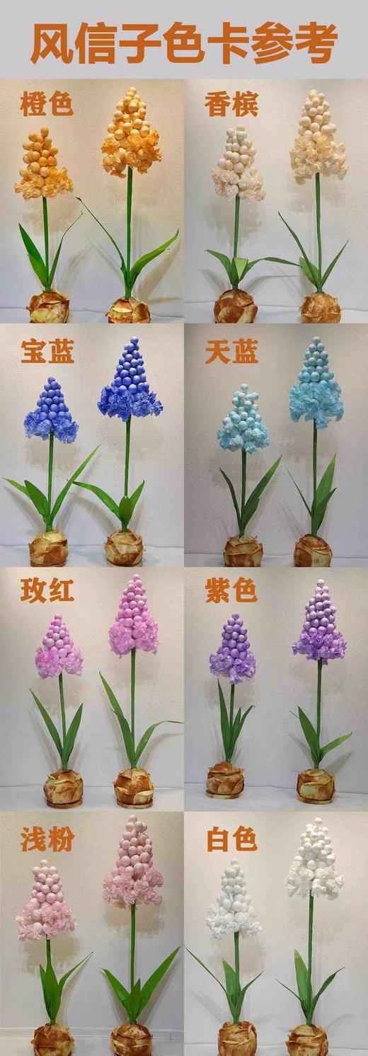 特价风信子（运费自理） 商品图8