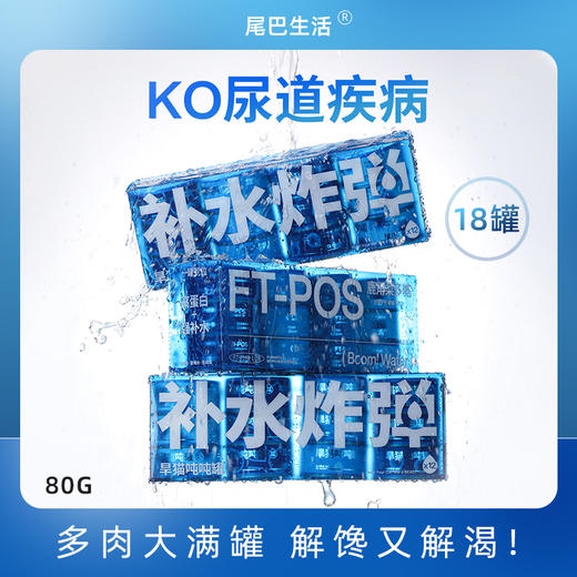 尾巴生活吨吨罐12罐补水炸弹猫罐头幼猫成猫零食猫咪湿粮营养增肥 商品图0