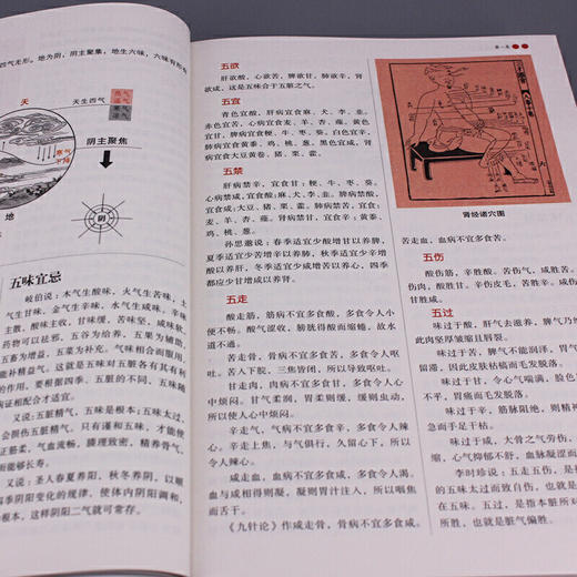 【心如健推荐】医学经典传统良方 养生保健方法 图解 本草纲目 单册 商品图2