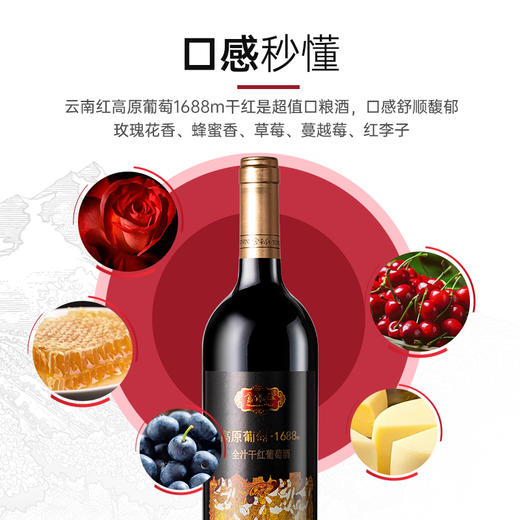 云南红高原1688m全汁干红葡萄酒国产红酒囤货弥勒东风酒庄官方 商品图2