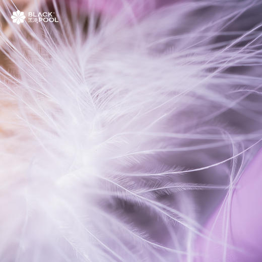 （限南山宝娜）【双子座·永生守护花】浪漫而自由。浅紫色永生花/蓬莱松/绣球/水晶草若干/白色球/羽毛 商品图3