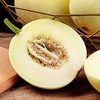 阎良小籽甜瓜 生鲜白皮小香瓜脆甜  5斤装 商品缩略图1