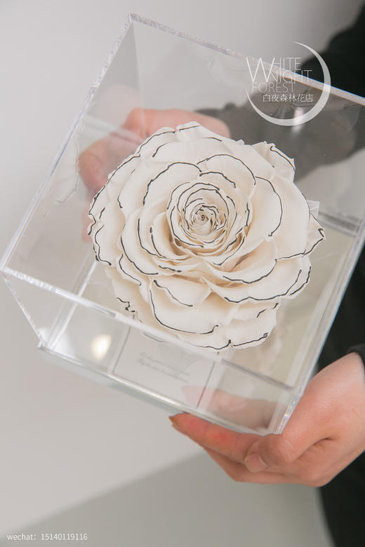 香奈儿风白色巨型永生玫瑰礼盒 商品图6