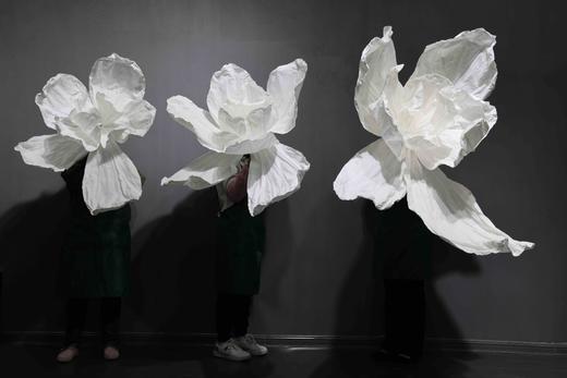 美塑花（运费自理） 商品图1