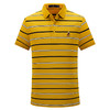 MD名盾黑科技NH3液氨百搭黄色条纹短袖翻领男士纯棉休闲Polo衫 商品缩略图4