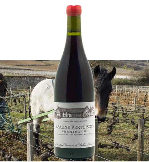 贝侬酒庄伯恩一级沛图伊索园干红2011Domaine de Bellene Beaune 1er Cru les Pertuisots 商品图0