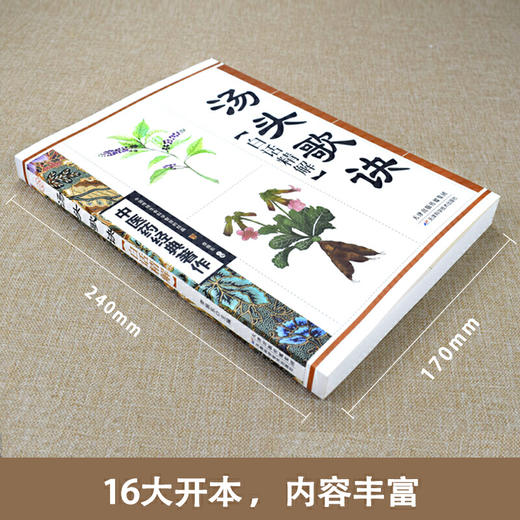 【心如健推荐】汤头歌诀白话精解 商品图1