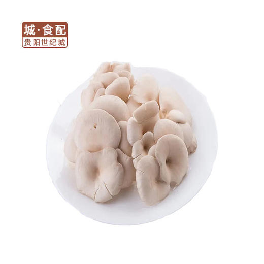 平菇500g/份【GYZH】 商品图1