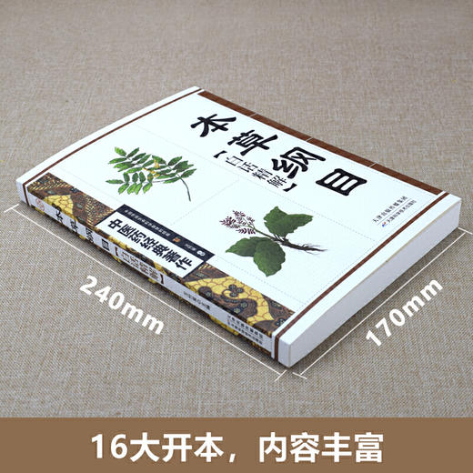 【心如健推荐】本草纲目白话精解 商品图1
