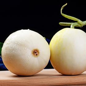 阎良小籽甜瓜 生鲜白皮小香瓜脆甜  5斤装