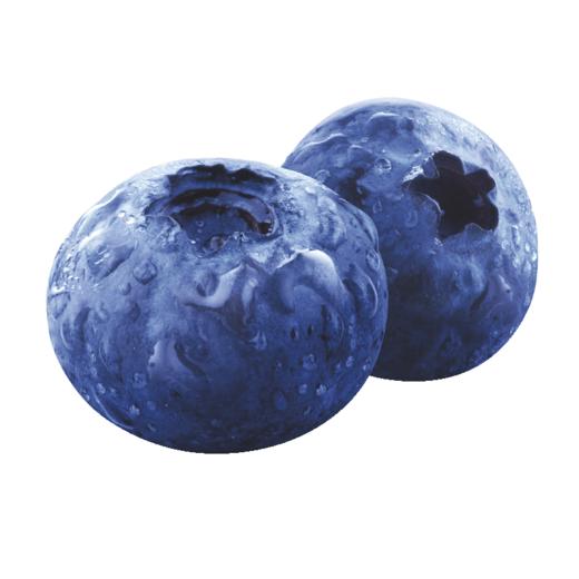 佳沃云南山地蓝莓20mm+超大果盒礼盒装 当季限定顺丰包邮 商品图2