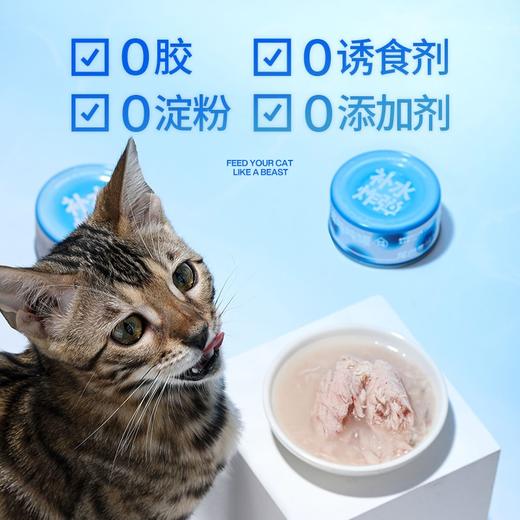 尾巴生活吨吨罐12罐补水炸弹猫罐头幼猫成猫零食猫咪湿粮营养增肥 商品图3