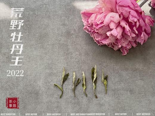 《冷香宜》，2022荒野牡丹王里的清冷寒香（60克罐装） 商品图2