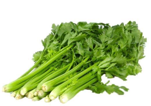 【清香可口】本地 芹菜 500g±50g 【BC】【DN】 商品图0
