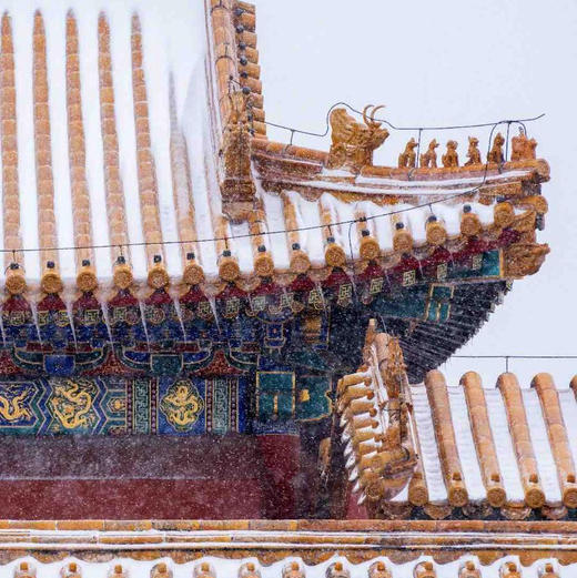 紫禁城600年茶具 雍正磁胎画珐琅芝兰祝寿黄地仿古茶具 商品图9