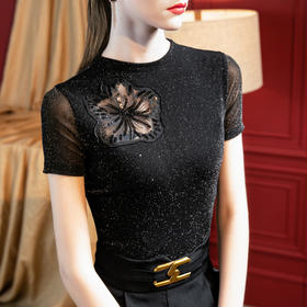 气质小高领，亮丝网纱短袖t恤刺绣拼接小衫上衣SG-T2X2495