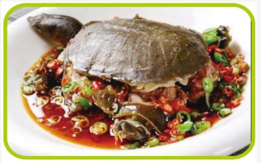 湖北草地 麻辣龟肉400g 商品图1