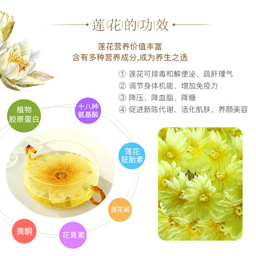 【部分地区包邮】热带香莲/莲花茶 煮水冲泡 色润香飘 养生佳品 海南岛无公害种植 手工采摘 2朵/5朵/12朵装 商品图6
