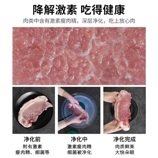 洗菜机果蔬清洗解毒机去农残肉类杀菌消毒食材净化机HJ-F701L白色 商品图6