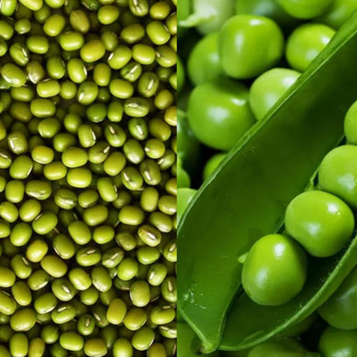 西藏日喀则特产年雄牌 藏豌豆 粉丝  方便食用   1盒2.5kg 商品图3