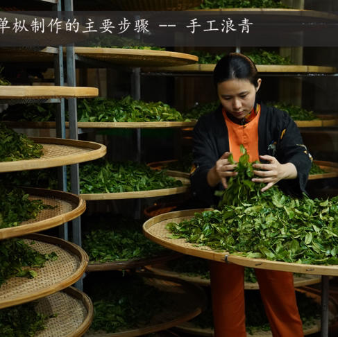 开工福利 凤凰老枞蜜兰香 兰香蜜韵 商品图3