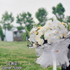 《蝴蝶》-巨型蝴蝶兰花束 商品缩略图10