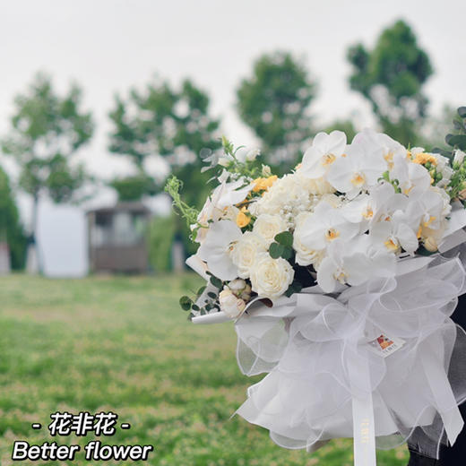 《蝴蝶》-巨型蝴蝶兰花束 商品图10