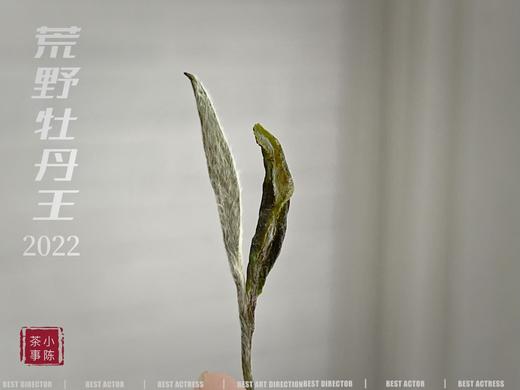 《冷香宜》，2022荒野牡丹王里的清冷寒香（1斤收藏装） 商品图5