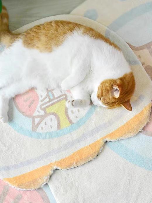 MISSPET"翱翔吧~小猫咪“暖馨系列地毯客厅茶几地毯地垫人宠共用【款式备注】 商品图3
