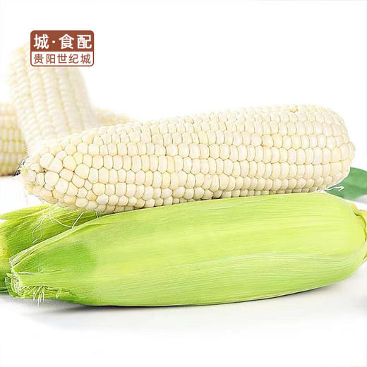 【GYZYDR】糯玉米1.5-1.8斤/份 商品图1