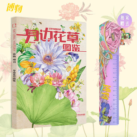 《身边花草图鉴 》博物杂志花草专题精选集 2022年增刊礼物礼盒 商品图1