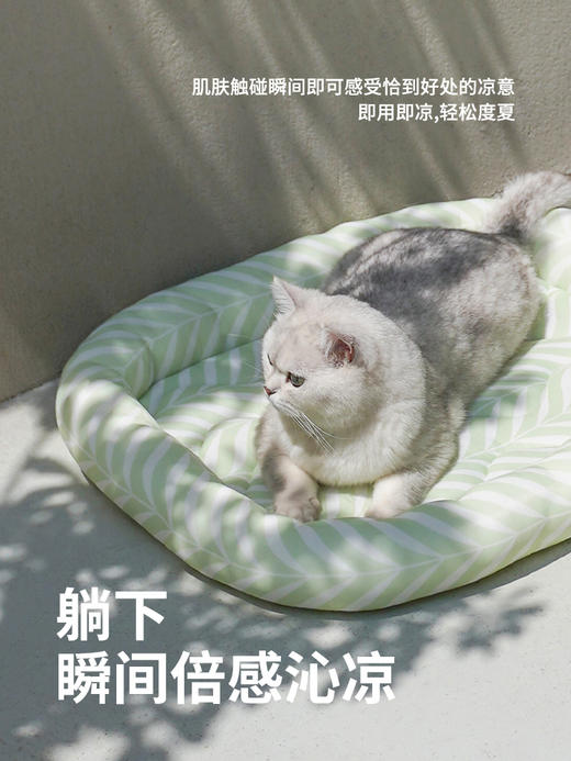 zeze宠物凉垫夏季降温冰窝猫窝猫咪冰垫狗狗垫子睡垫宠物用品 商品图3
