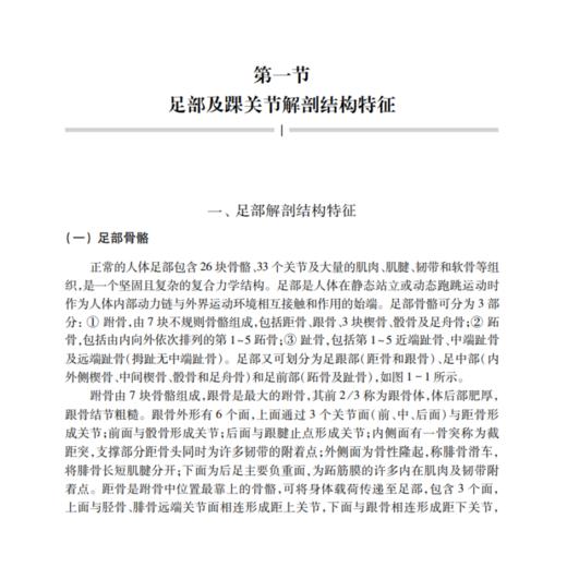 现货 运动生物力学在足部的研究与应用 运用力学原理和方法研究足部结构功能 足踝结构及生物力学 顾耀东 9787030659538科学出版社 商品图3