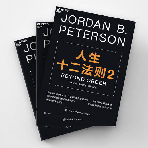 湛庐┃人生十二法则2 商品图4